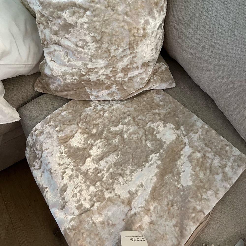 20x20 Throw pillow cover new with tags never used - west elm